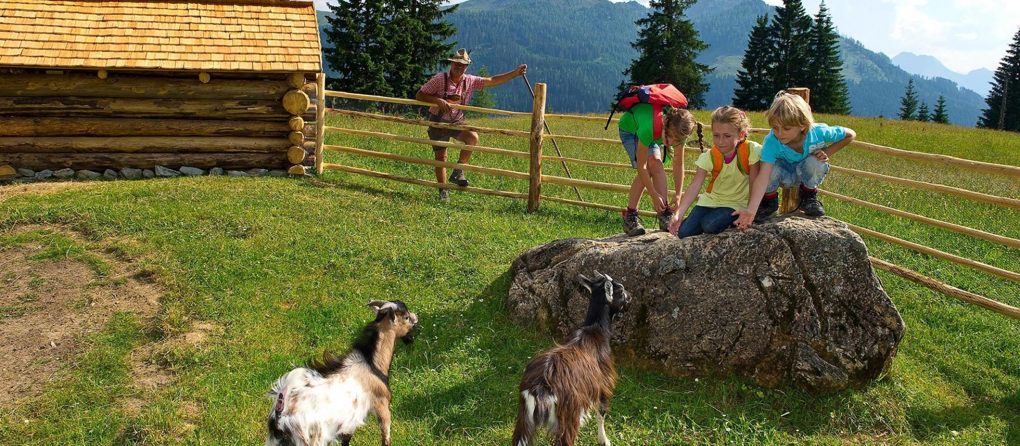 Unterwandalm Streicheltiere Sommer